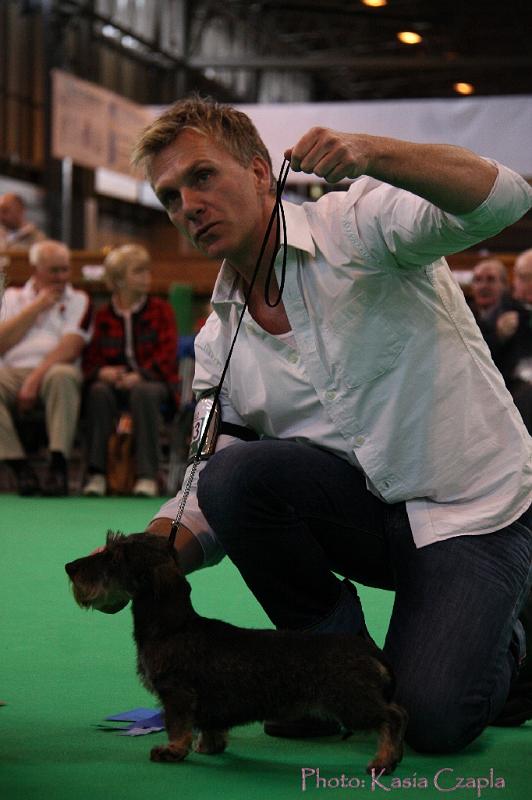 Crufts2011_2 1266.jpg